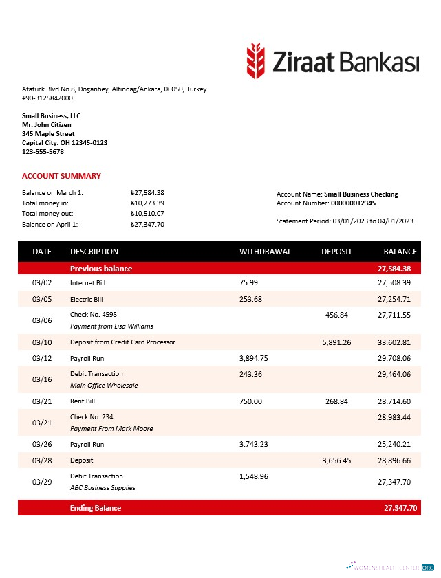 Download Ziraat Bankasi business checking account statement Word and PDF template Photoshop template